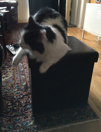 Lucifer busar i vardagsrummet