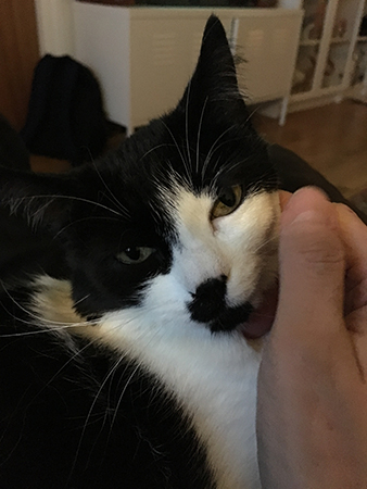 Mini blir kliad av mig