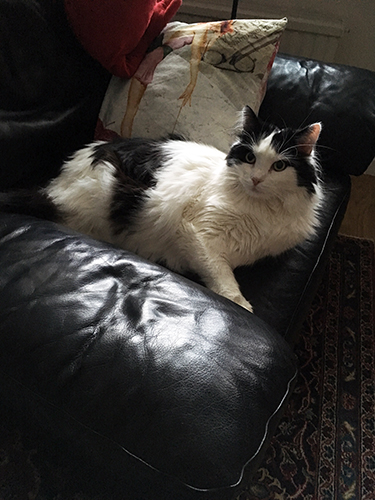 Lucifer i bästefåtöljen