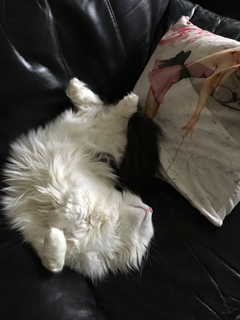 Lucifer vräker ut sig i Annas fåtölj