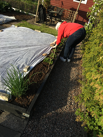 Anna rättar till fiberduken