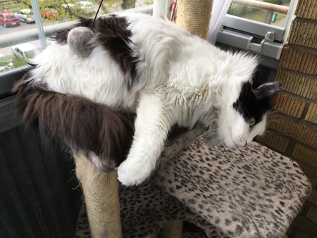 Lucifer på balkongen