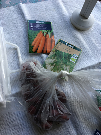 Rödlök dill och morötter till sådd