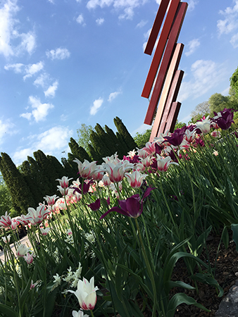 Tulpaner och konstverk Botaniska 22 maj 2019