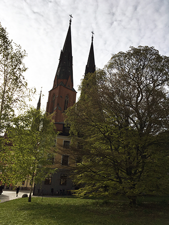 Domkyrkotornen bakom Gustavianum