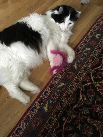 Lucifer och leksaken