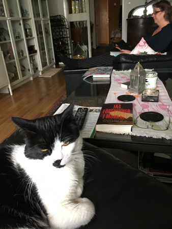 Mini på bästefåtöljen och FEM läser