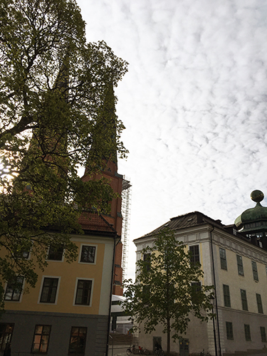Ställning på Domkyrkotornet bakom Gustavianum