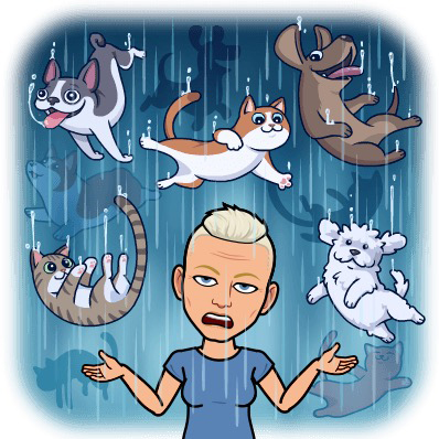 Bitmoji Tofflan raining cats and dogs Bitmoji Tofflan raining cats and dogs
