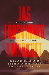 Michelle McNamaras bok Jag försvinner i mörkret