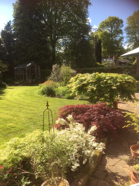 Toms trädgård maj 2019