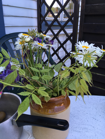 Blommor i ett krus Blommor i ett krus