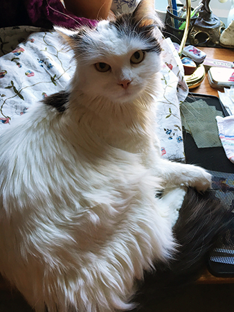 Citrus på min dator