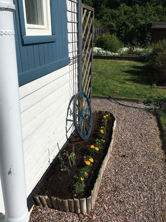 Husgaveln i kvällssol