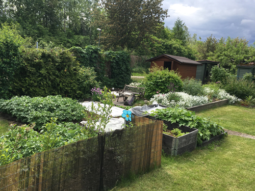 Slottsträdgården baksida med boden