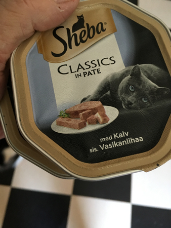 Sheba kalv