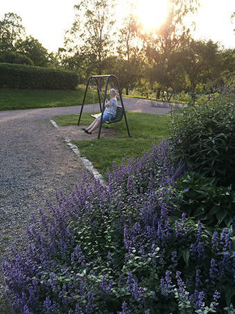 Anna gungar i Höganäsparken