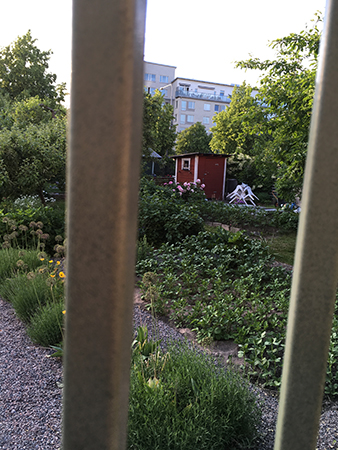 Trädgårdsföreningen Violas små stugor och trädgårdar