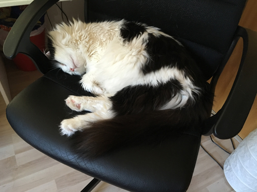 Lucifer i Es skrivbordsstol