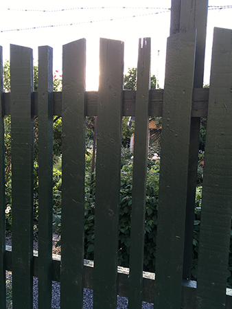 Staket framför trädgårdsföreningen Violas stugor