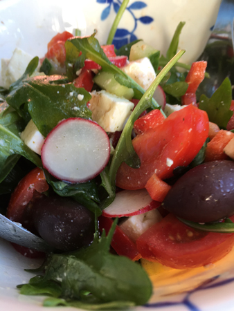 Sallad med egna rädisor