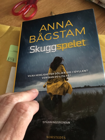 Anna Bågstams bok Skuggspelet och min hand