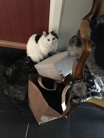 Citrus bland skräp i hallen