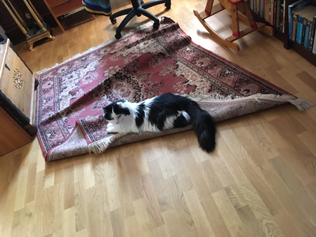 Ihoprullad matta med Lucifer på i Bokrummet