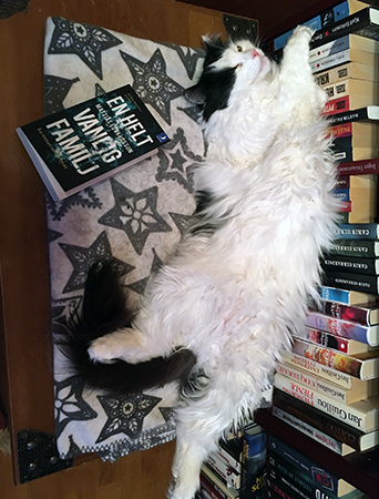 Lucifer och boken En helt vanlig familj