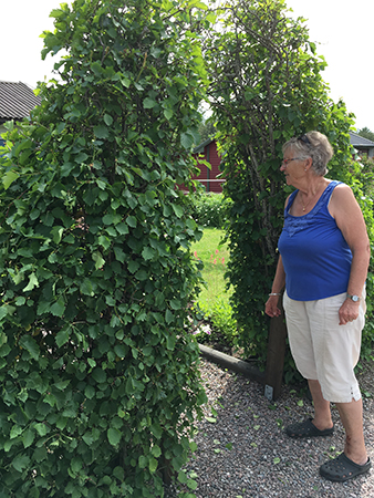 Slottsfrun vid portalen och häcken