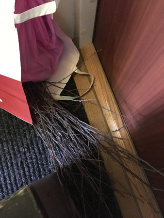 Påskriset ska kastas