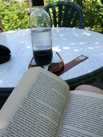 Bok och vatten vid Slottet