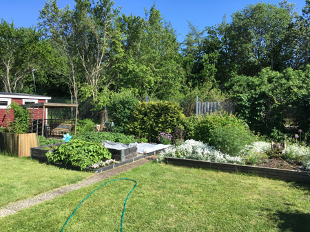 Baksidan trädgården landen