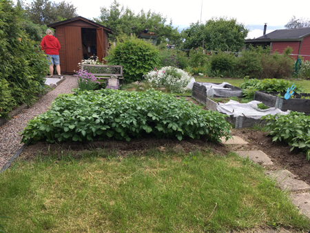 Potatislandet boden och trädgårdstomten