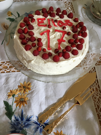 Elias 17 år tårta