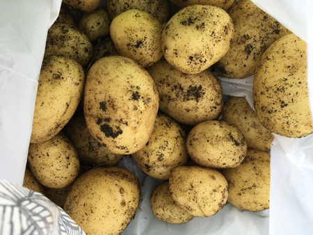 Vår egen potatis