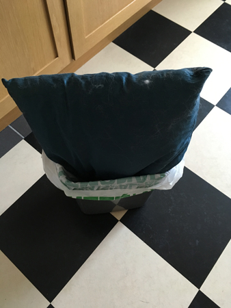 Pappas sidenkudde i sopen