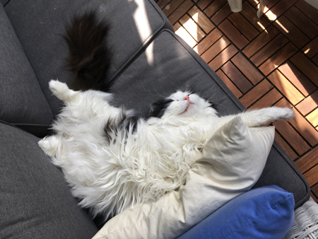 Lucifer i balkongsoffan Lucifer i balkongsoffan