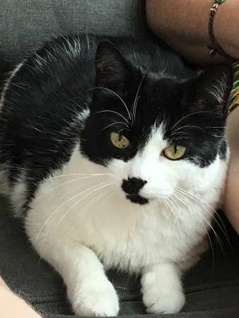 Mini mellan oss på balkongsoffan