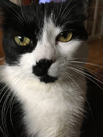 Mini ser lite nöjdare ut