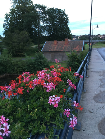 Gamla bron vid Gästisområdet