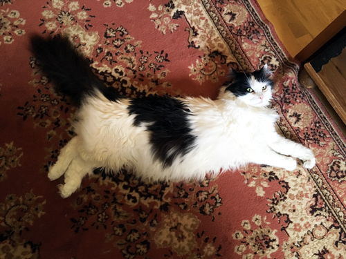 Lucifer på Bokrumsmattan