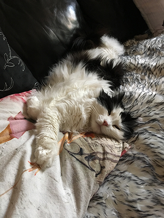 Lucifer sträcker ut sig på soffan