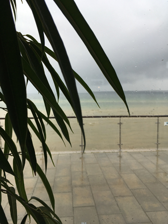 Regnvått utanför Sjövik