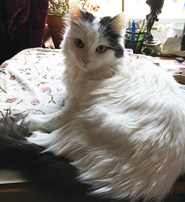 Citrus på min dator