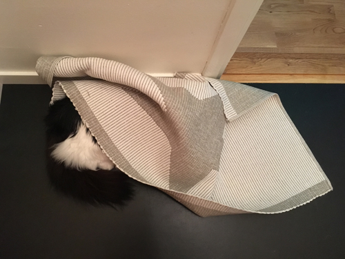 Lucifer gömmer sig under mattan