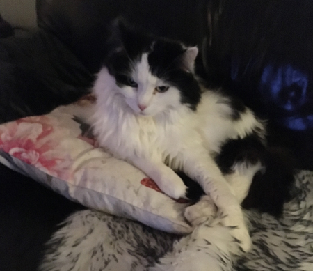 Lucifer tittar på TV