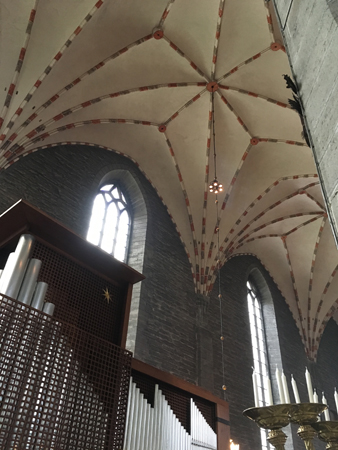 Tak och en orgel i Vadstens klosterkyrka
