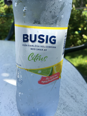 Citrus Busig Ramlösa