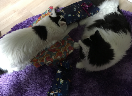 Citrus och Lucifer leker med presentpapper